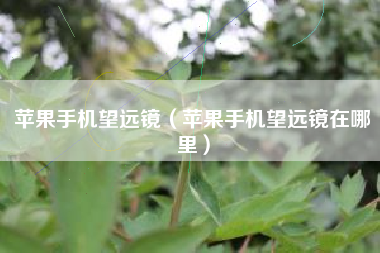 苹果手机望远镜（苹果手机望远镜在哪里）