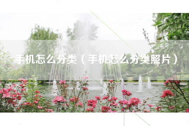 手机怎么分类（手机怎么分类照片）