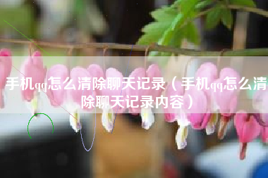 手机qq怎么清除聊天记录（手机qq怎么清除聊天记录内容）