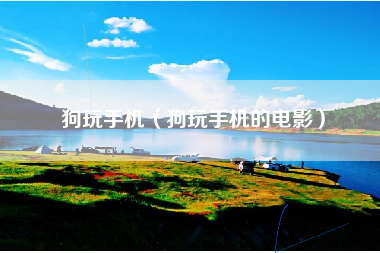 狗玩手机（狗玩手机的电影）
