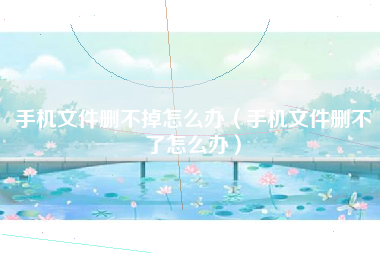 手机文件删不掉怎么办（手机文件删不了怎么办）