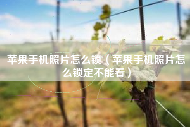 苹果手机照片怎么锁（苹果手机照片怎么锁定不能看）