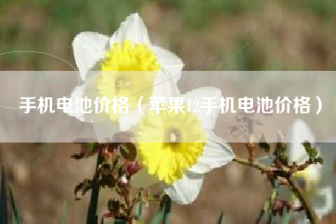 手机电池价格（苹果12手机电池价格）