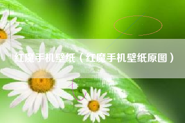 红魔手机壁纸（红魔手机壁纸原图）