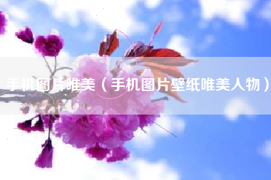 手机图片唯美（手机图片壁纸唯美人物）