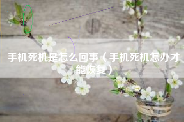 手机死机是怎么回事（手机死机怎办才能恢复）