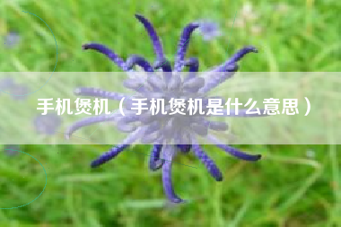 手机煲机（手机煲机是什么意思）