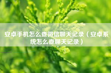 安卓手机怎么查微信聊天记录（安卓系统怎么查聊天记录）