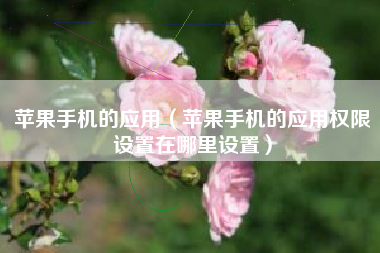 苹果手机的应用（苹果手机的应用权限设置在哪里设置）