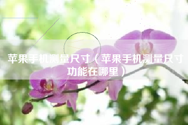 苹果手机测量尺寸（苹果手机测量尺寸功能在哪里）