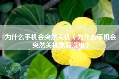 为什么手机会突然关机（为什么手机会突然关机然后没电）