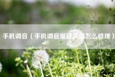 手机调音（手机调音量键失灵怎么修理）