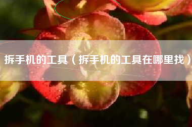 拆手机的工具（拆手机的工具在哪里找）