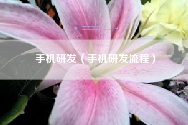 手机研发（手机研发流程）