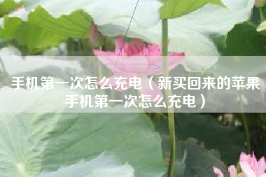 手机第一次怎么充电（新买回来的苹果手机第一次怎么充电）