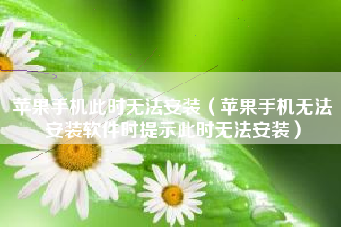 苹果手机此时无法安装（苹果手机无法安装软件时提示此时无法安装）