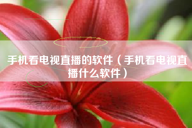 手机看电视直播的软件（手机看电视直播什么软件）