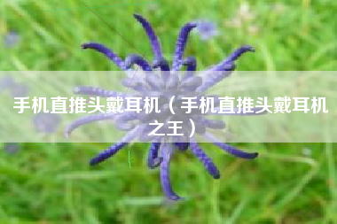 手机直推头戴耳机（手机直推头戴耳机之王）