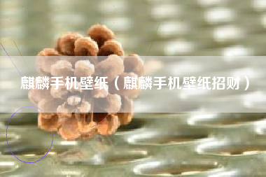 麒麟手机壁纸（麒麟手机壁纸招财）