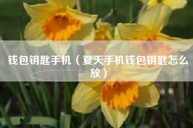 钱包钥匙手机（夏天手机钱包钥匙怎么放）