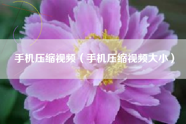 手机压缩视频（手机压缩视频大小）