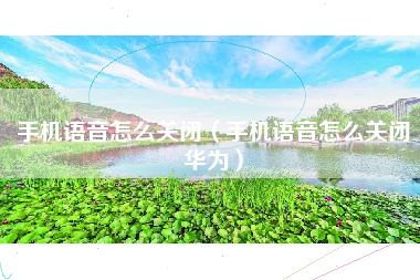 手机语音怎么关闭（手机语音怎么关闭华为）
