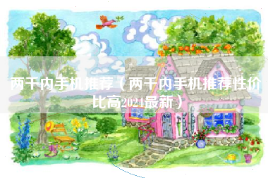 两千内手机推荐（两千内手机推荐性价比高2024最新）