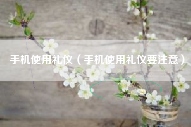 手机使用礼仪（手机使用礼仪要注意）