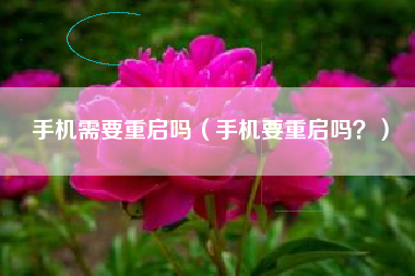 手机需要重启吗（手机要重启吗？）