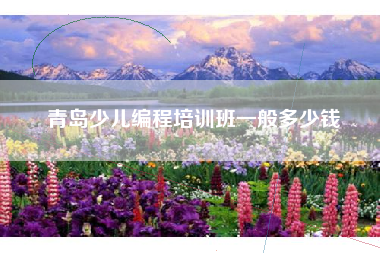 青岛少儿编程培训班一般多少钱