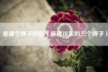 是哪个牌子的好（最建议买的三个牌子）
