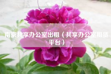 南京共享办公室出租（共享办公室租赁平台）