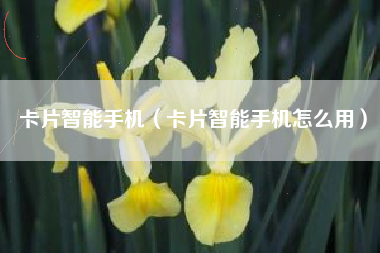 卡片智能手机（卡片智能手机怎么用）