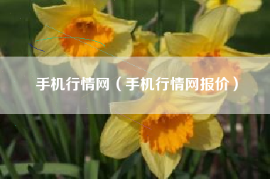 手机行情网（手机行情网报价）