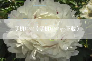 手机12306（手机12306app下载）