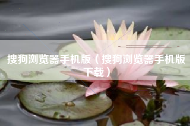 搜狗浏览器手机版（搜狗浏览器手机版下载）
