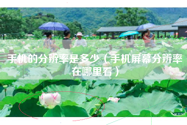 手机的分辨率是多少（手机屏幕分辨率在哪里看）
