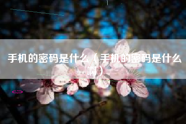 手机的密码是什么（手机的密码是什么啊）