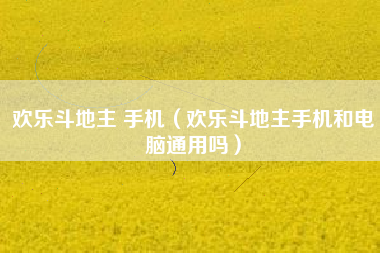 欢乐斗地主 手机（欢乐斗地主手机和电脑通用吗）