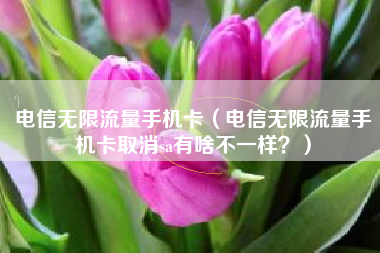 电信无限流量手机卡（电信无限流量手机卡取消sa有啥不一样？）