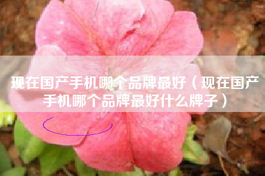 现在国产手机哪个品牌最好（现在国产手机哪个品牌最好什么牌子）