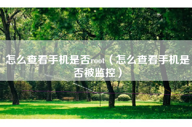 怎么查看手机是否root（怎么查看手机是否被监控）