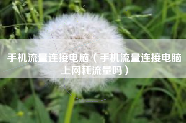 手机流量连接电脑（手机流量连接电脑上网耗流量吗）