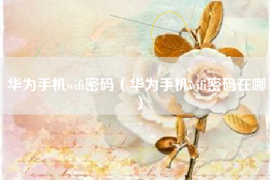 华为手机wifi密码（华为手机wifi密码在哪）