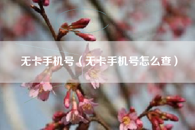 无卡手机号（无卡手机号怎么查）