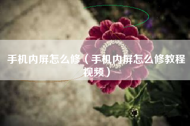 手机内屏怎么修（手机内屏怎么修教程视频）