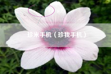 珍米手机（珍我手机）