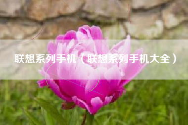 联想系列手机（联想系列手机大全）