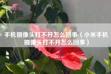 手机摄像头打不开怎么回事（小米手机摄像头打不开怎么回事）