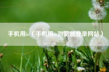 手机用ie（手机用ie浏览器登录网站）